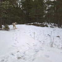 Photo taken at Östersundomin koirametsä by Heather D. on 1/3/2016