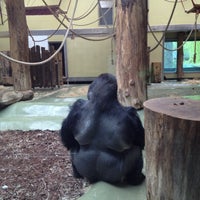 5/3/2013 tarihinde Helen L.ziyaretçi tarafından Zoo Berlin'de çekilen fotoğraf