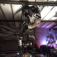 Photo taken at Museum of Natural Sciences by Matthias D. on 10/1/2016