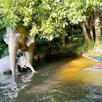 Photo taken at Jungle Cruise by 松江 on 11/29/2023