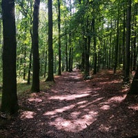 Photo taken at Přírodní park Draháň-Troja by Anna K. on 8/19/2020