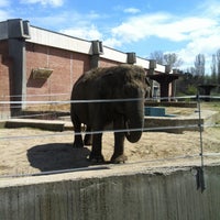 4/20/2013에 Boyan Y.님이 Зоопарк София (Sofia Zoo)에서 찍은 사진