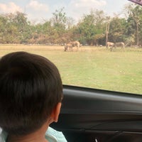 Photo taken at Safari Park by Kanlayarat J. on 2/4/2024