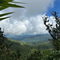 Photo taken at El Yunque National Forest by Tom M. on 12/21/2023