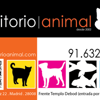 3/17/2013にTerritorio AnimalがTerritorio Animalで撮った写真