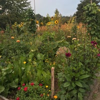 Photo taken at Delridge P-patch by Kathryn B. on 8/29/2018