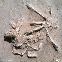 Pink Lake Dimboola Vic