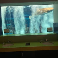 Photo taken at OdySea Aquarium by Vicki on 6/22/2022