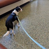 Photo taken at Banfield Pet Hospital by Caitlin N. on 6/3/2018
