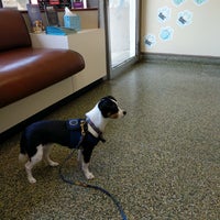 Photo taken at Marina Pet Hospital by Caitlin N. on 6/17/2017
