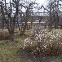 Photo taken at Upper Garden by Антон on 1/18/2020