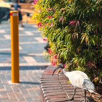 Photo taken at Circular Quay by Najla on 4/16/2024