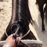 Photo taken at Los Angeles Equestrian Center by Faisal on 4/1/2019