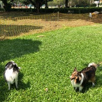 Dog Run Katong Park Dog Run In Marine Parade Dog Run Katong Park Dog Run In Marine Parade