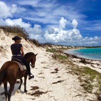 Photo taken at Seaside Stables by Tonia D. on 7/29/2018