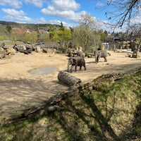 Photo taken at Elephant Valley by Zdeněk B. on 4/16/2022