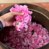 ماء الورد الطائفي عادي متجر وردات