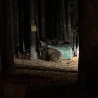 Photo taken at Tahoe Valley Campground by David P. on 9/12/2017