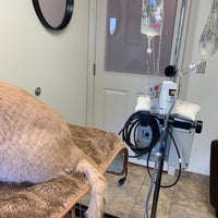 10/7/2020 tarihinde Raymond C.ziyaretçi tarafından Laurelwood Veterinary Hospital'de çekilen fotoğraf