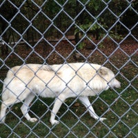Photo taken at Wolf Mountain Nature Center by John M. on 10/7/2012