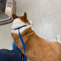 Photo taken at Catonsville Emergency Vet by Peter C. on 7/5/2019