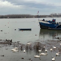 Photo taken at Zemun Quay by Marina L. on 12/16/2022