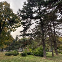 Photo taken at Dedinjski park by Marina L. on 10/24/2023