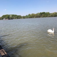Photo taken at Дунай и Сава. Слияние. by Marina L. on 4/20/2019