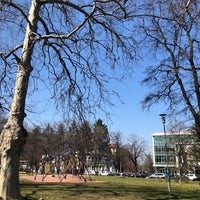 Photo taken at Dedinjski park by Marina L. on 3/24/2022