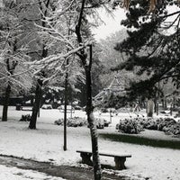 Photo taken at Dedinjski park by Marina L. on 1/20/2023