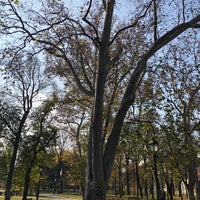Photo taken at Gradski park by Marina L. on 11/17/2021