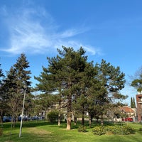 Photo taken at Dedinjski park by Marina L. on 3/30/2023