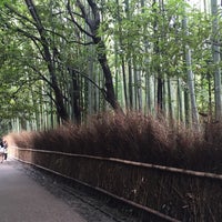 Photo taken at Arashiyama Bamboo Grove by Keisuke M. on 7/8/2015
