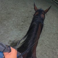 Photo taken at Royalty Equestrian Club by MTK on 2/2/2024