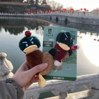 Photo taken at Beihai Park by xiao s. on 3/2/2024