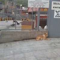 Photo taken at Tamaz Elizbarashvili Dog Shelter by N.J. on 8/31/2014