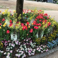 Photo taken at 白金台どんぐり児童遊園 by Ayumi on 4/3/2021