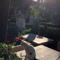 Photo taken at Cimitero Acattolico di Testaccio by Renaud F. on 12/16/2019