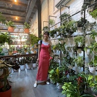 Photo taken at Plantshed by Stroumph on 6/25/2022