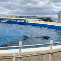 Photo taken at Dolphin Lagoon by こうの on 2/24/2024