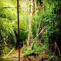 Photo taken at The Bamboo Forest by Fox F. on 9/30/2012