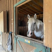 Photo taken at Bergen County Equestrian Center by A on 10/10/2023