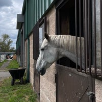 10/17/2023にAがBergen County Equestrian Centerで撮った写真
