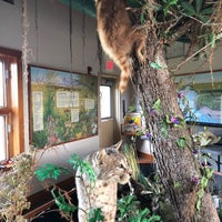 Brazoria National Wildlife Refuge - Nature Preserve in Freeport