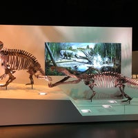 Photo taken at Morian Hall of Paleontology at HMNS by Harshal K. on 5/11/2019