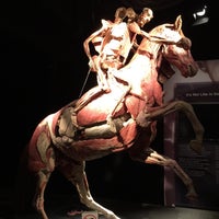 Photo taken at Body Worlds: The Original Exhibition by Syed Ali S. on 7/3/2015
