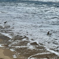 Photo taken at Dockweiler State Beach by Kateryna Z. on 3/28/2024