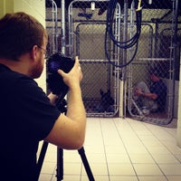 Photos At Arapaho Rd Animal Clinic Richardson Tx