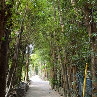 Photo taken at Bise Fukugi Tree Road by sakuo.jp on 2/14/2024