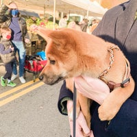 Photo taken at Inwood Farmers Market by Tian T. on 11/21/2020